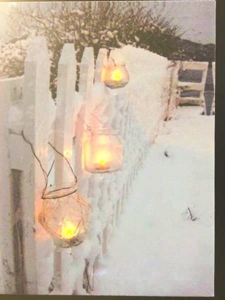 Tablou luminos, felinare pe gard înzăpezit