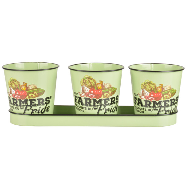 3 ghivece cu tăviță Farmer's Pride