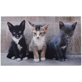 Preş cu imprimeu, 3 pisicuţe drăgălaşe