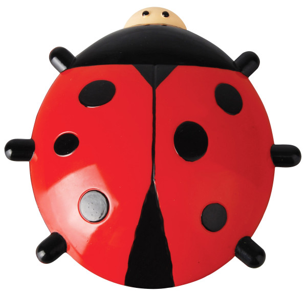 Termometru buburuză