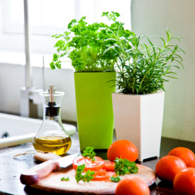 Ghiveci pentru plante aromatice WatherFresh