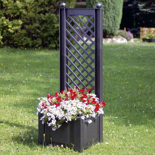 Jardinieră cu suport de căţărare 43 cm, antracit