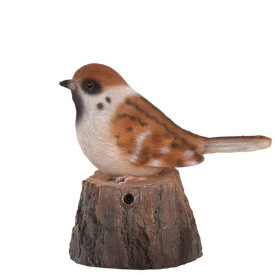 Pasăre cântătoare, Vrabie