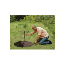 Set bio de fertilizare a puieţilor