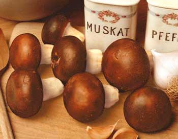 Ciupercă Champignon brună