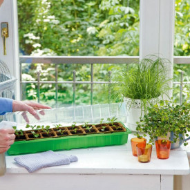 Răsadniță 16 alveole