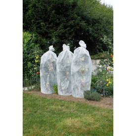 Folie pentru protejarea tomatelor împotriva frigului