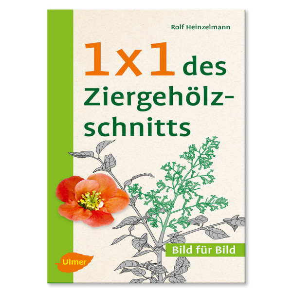 Carte: Toaletarea plantelor decorative 1x1 (în limba germană)