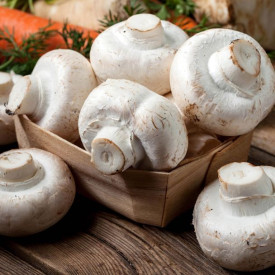 Ciupercă Champignon albă