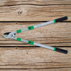 Foarfecă pentru ramuri