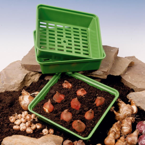 Coş dreptunghiular pentru bulbi (3 buc)