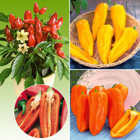 Ofertă Snack Paprika Ariella (3 buc)