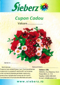 Cupon cadou 200 Lei