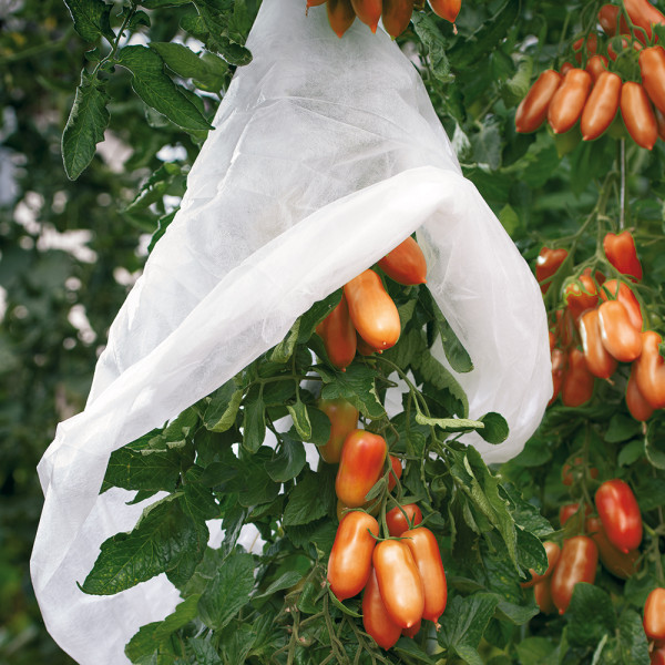 Folie protectoare pentru tomate