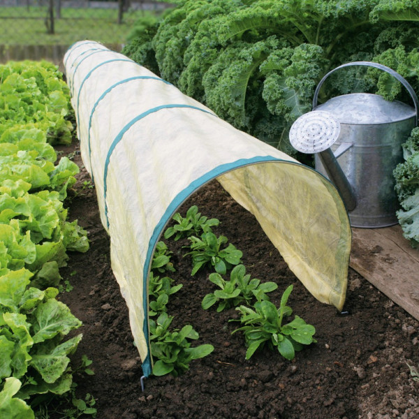 Bio tunel pentru plante