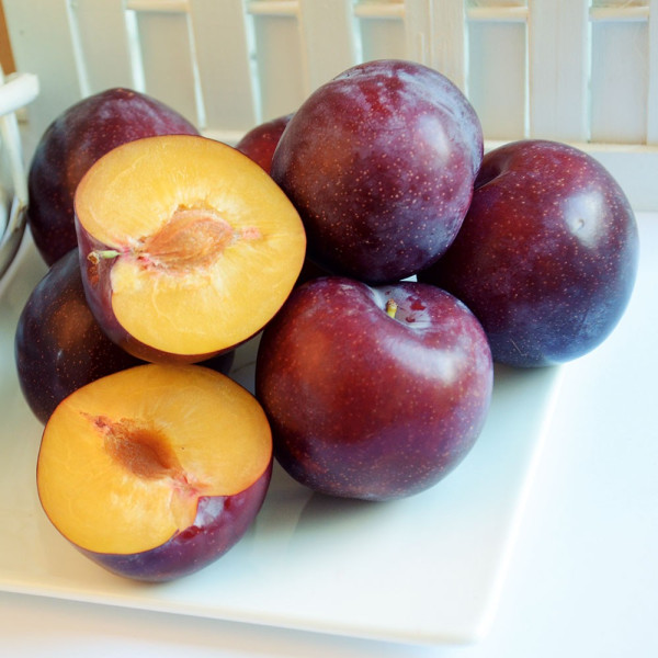 Renglotă uriaşă Valor