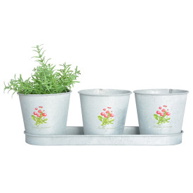 3 ghivece cu tăviță, motiv floral Bănuței