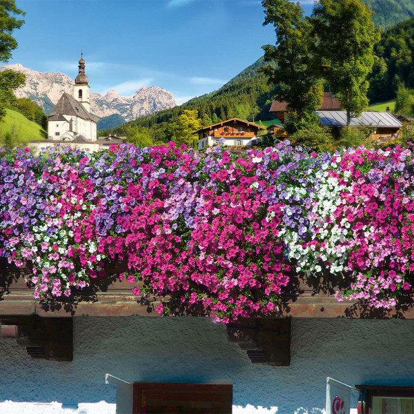 Compoziție de alpetunii (6 buc)