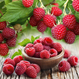 Zmeur Pokusa (2 buc)