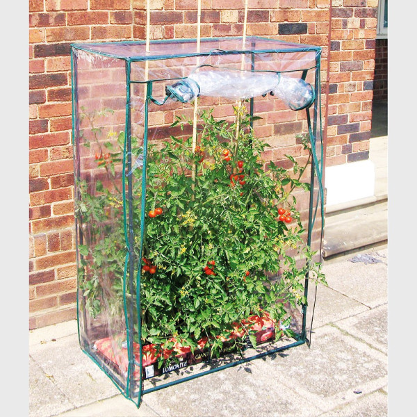 Solar pentru tomate