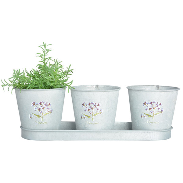 3 ghivece cu tăviță, motiv floral Nu mă uita