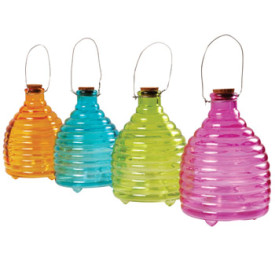 Capcană pentru viespi, mov