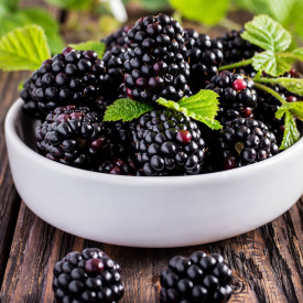 Mur fără spini Black Bromba