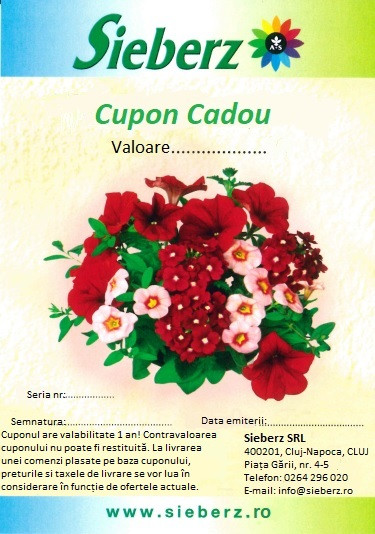 Cupon cadou 100 Lei