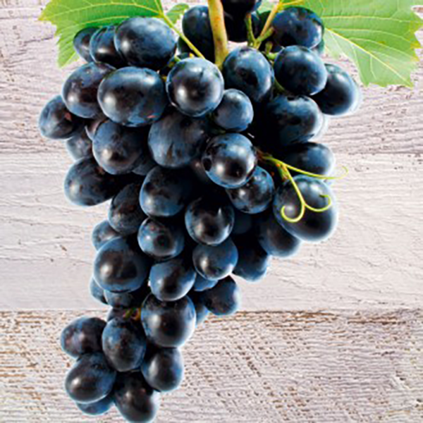 Viţă de vie fără seminţe King Ruby