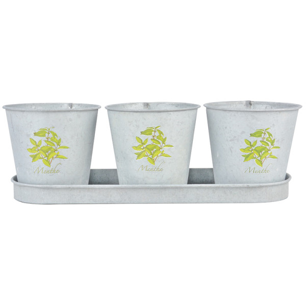 3 ghivece cu tăviță, motiv floral Mentă