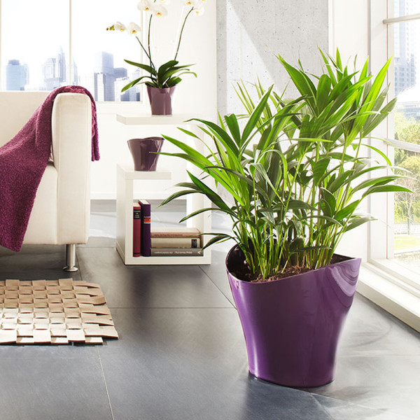 Ghiveci lucios, mov (25 cm)