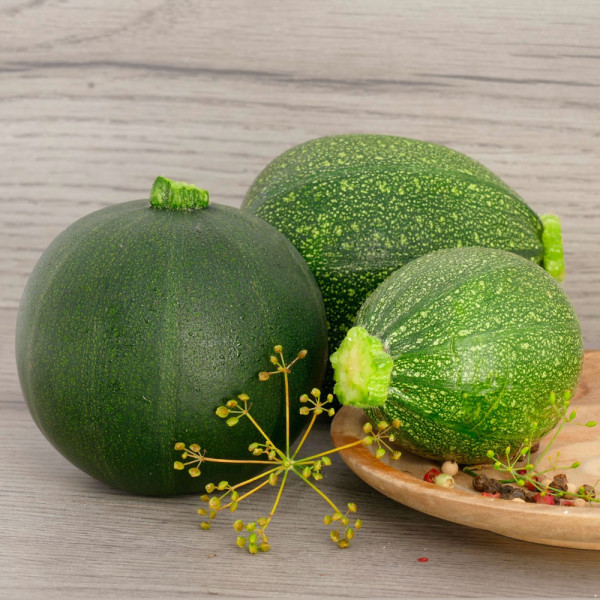 Zucchini rotund Eight Ball