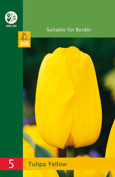 Lalele galbene Triumph (5 buc)