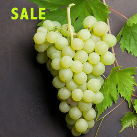 Viţă de vie albă fără seminţe Picurka