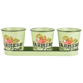 3 ghivece cu tăviță Farmer's Pride 