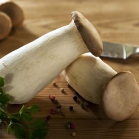 Ciupercă de pădure pentru grădină - Păstrăvul scailor