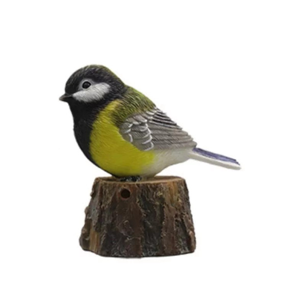 Pasăre cântătoare, Pițigoi