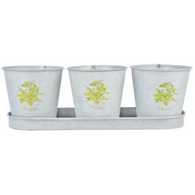 3 ghivece cu tăviță, motiv floral Mentă