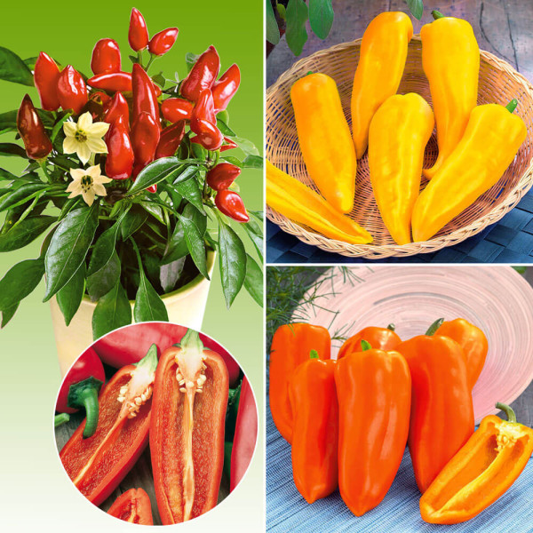 Ofertă Snack Paprika Ariella (3 buc)