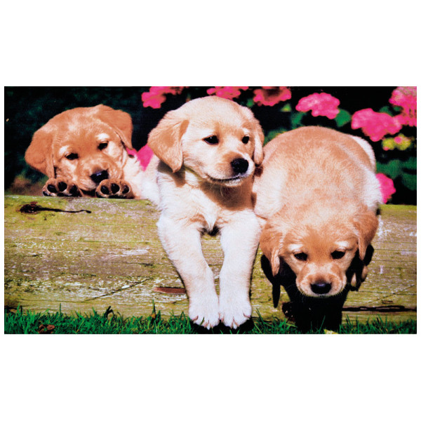 Preş cu imprimeu căţei